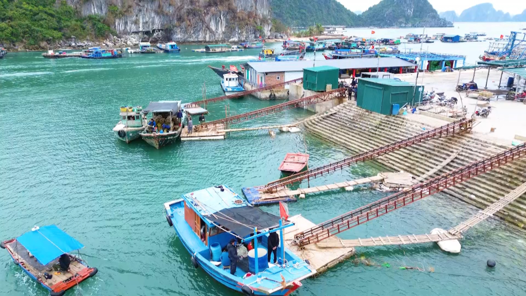Hạ tầng cảng cá Cái Rồng hướng tới hiện đại.