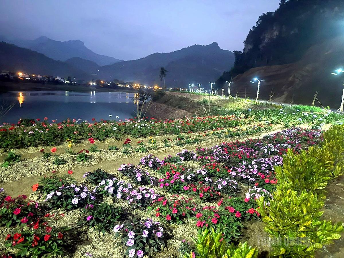 Lung linh sắc hoa bên bờ Nam sông Gâm thơ mộng Khi đêm xuống, ánh điện lung linh càng làm nổi bật vẻ đẹp mềm mại của các loài hoa, khiến bờ Nam sông Gâm thêm phần huyền ảo.
