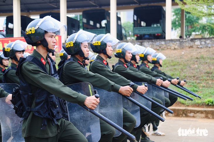 tân binh - Ảnh 2.