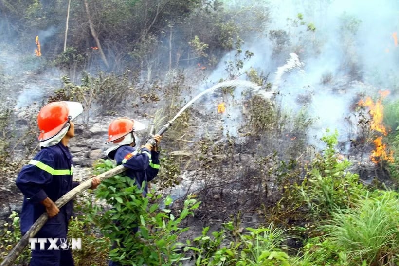 Die Behörden arbeiten daran, einen Waldbrand zu löschen. (Symbolbild. Quelle: VNA)