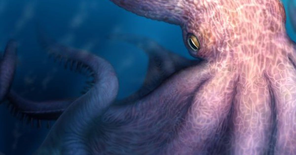 Apex Predation and Cognitive Dominance