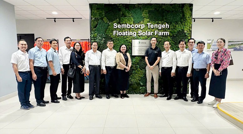 Vĩnh Long khảo sát mô hình điện mặt trời nổi tại Singapore- Ảnh 2.