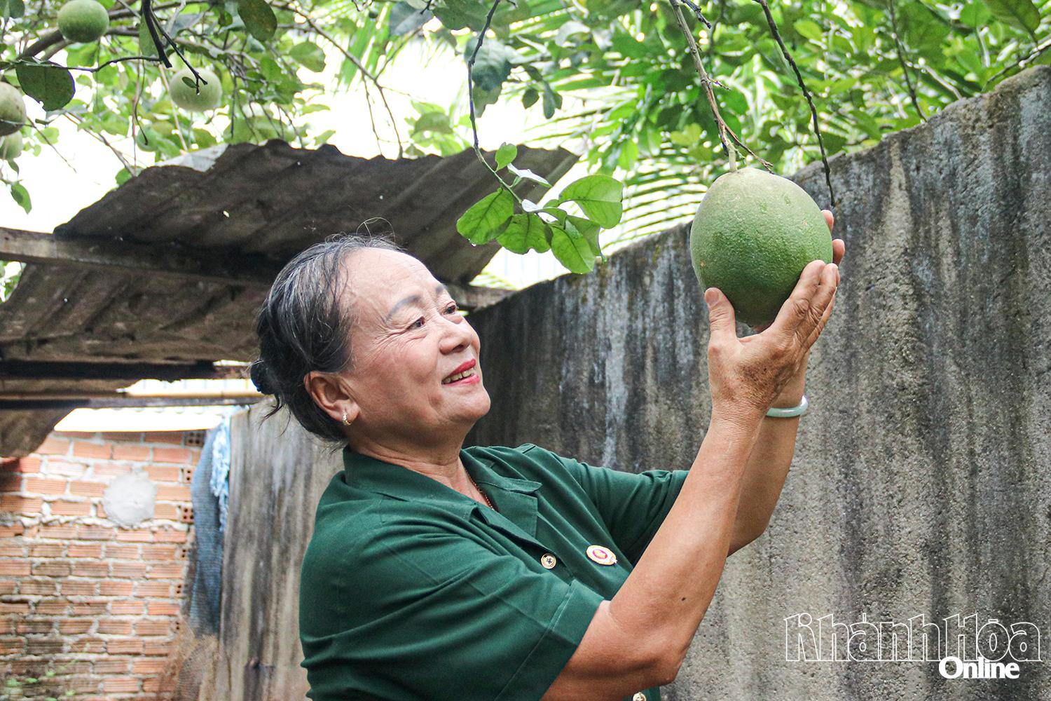 Không chỉ tích cực tham gia công tác xã hội, bà Phạm Thị Vinh còn chăm lo phát triển kinh tế gia đình.