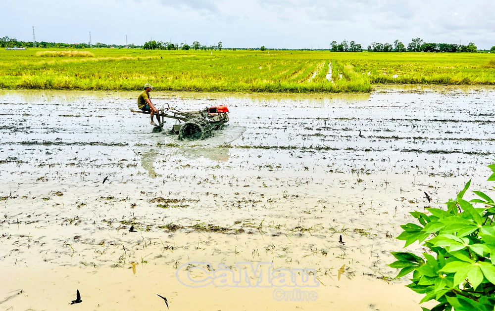 Many households are applying mechanization to production, saving time and labor.