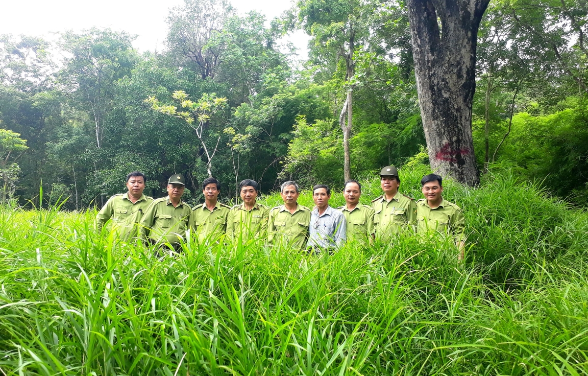 Thời gian qua, các đơn vị quản lý nỗ lực bảo vệ và phát triển rừng. Ảnh: KS.