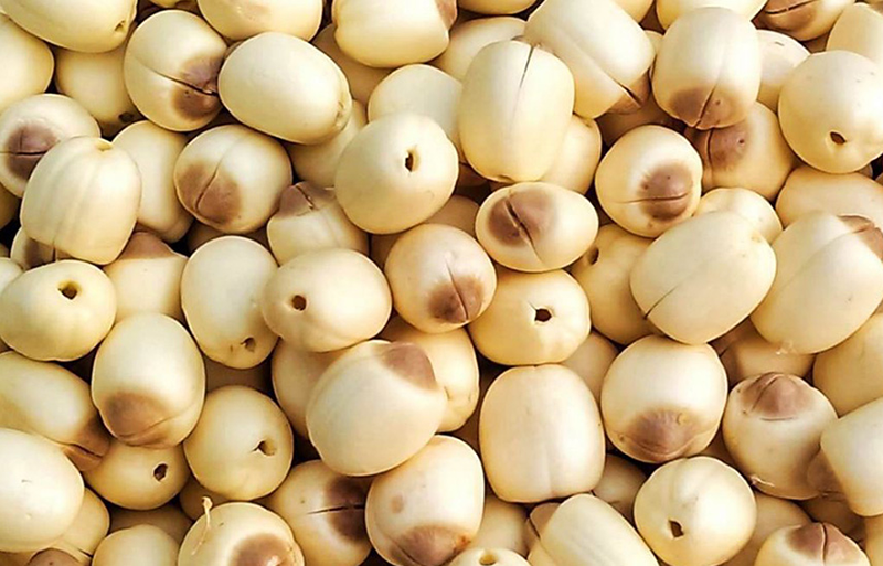 3 món cháo thuốc giúp phục hồi cơ thể khi bị say nắng- Ảnh 4.