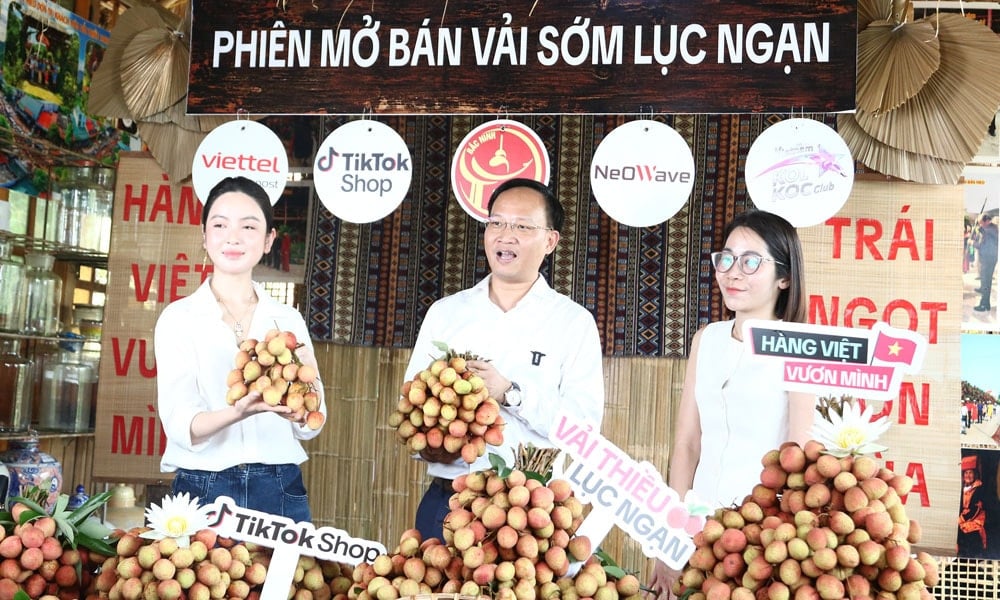 bac-ninh.jpg