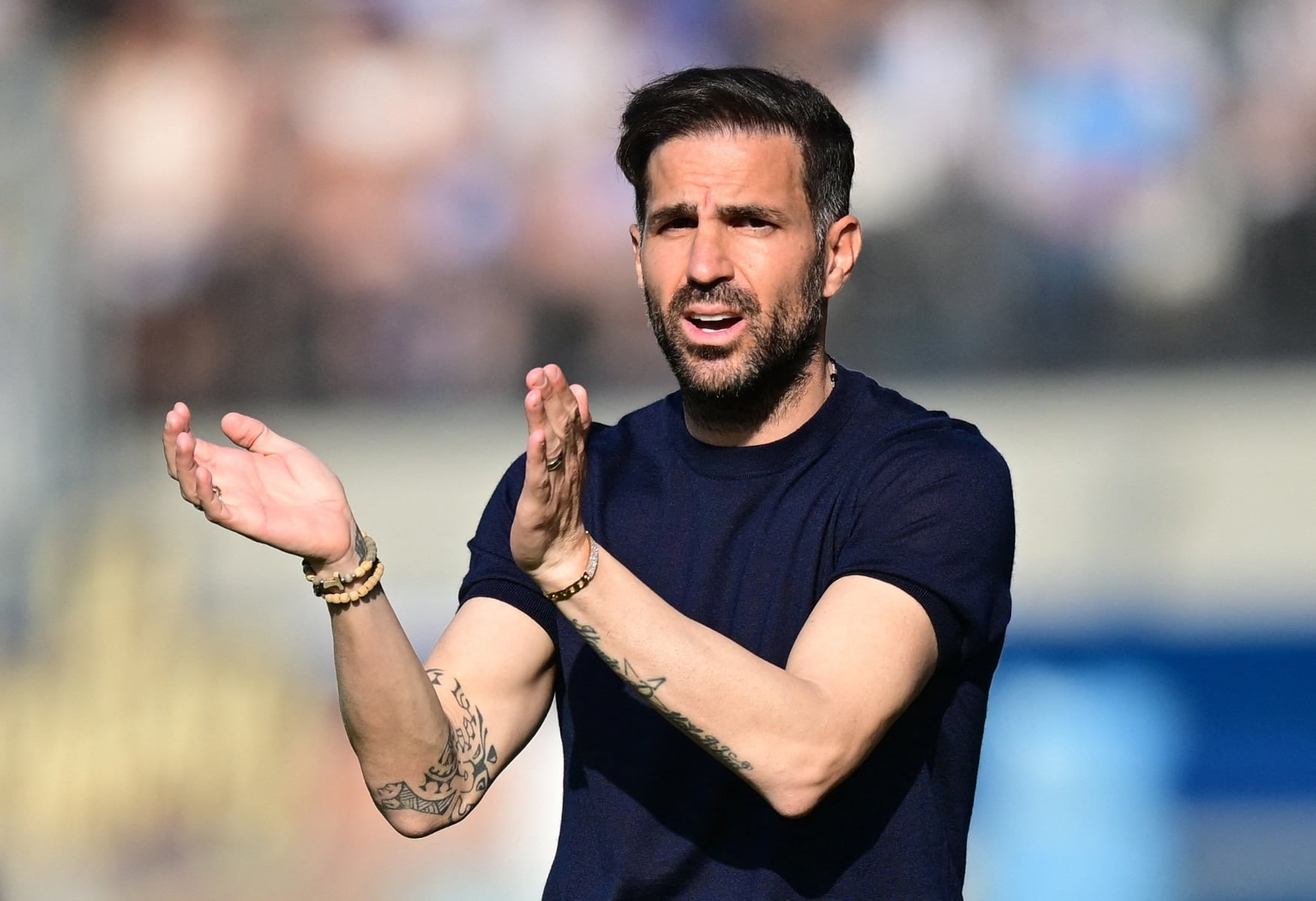 ফ্যাব্রেগাসের ছবি ২ Fabregas anh 2