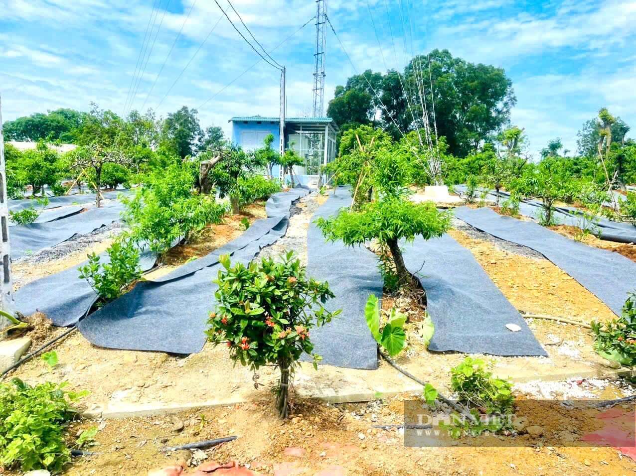 Auf seinen 3 Hektar Land geht dieser Bauer aus der Provinz Thanh Hoa  allerlei interessanten Ttigkeiten nach und verdient damit jhrlich ber  1,5 Milliarden VND. Was genau sind diese Ttigkeiten?