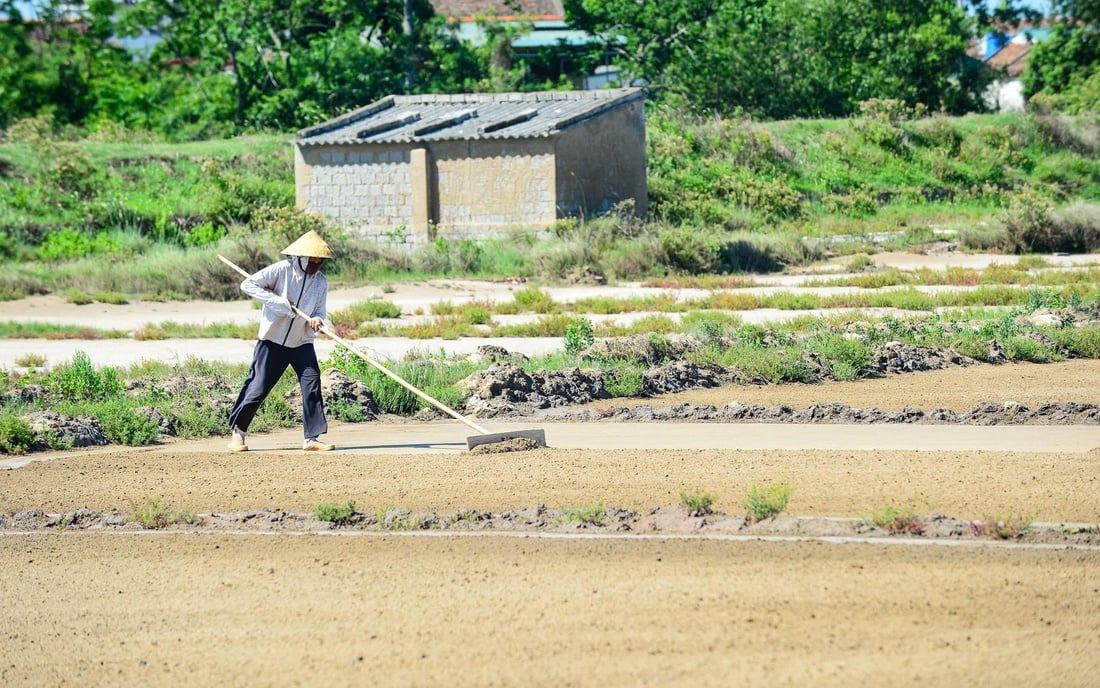 muối - Ảnh 5.