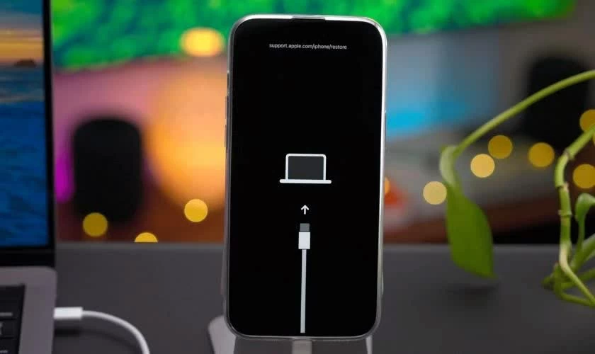 Đưa iPhone vào Recovery Mode.