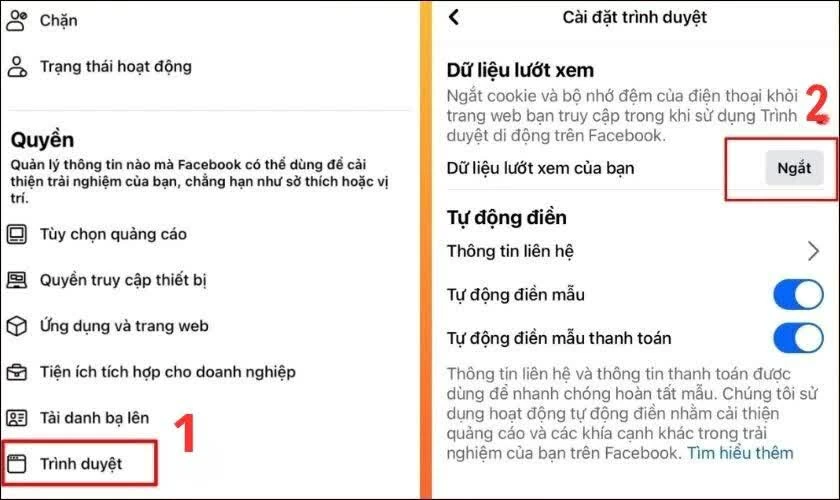 قم بالتمرير لأسفل وابحث عن قسم Kéo xuống tìm mục “Trình duyệt” trong phần “Quyền”.