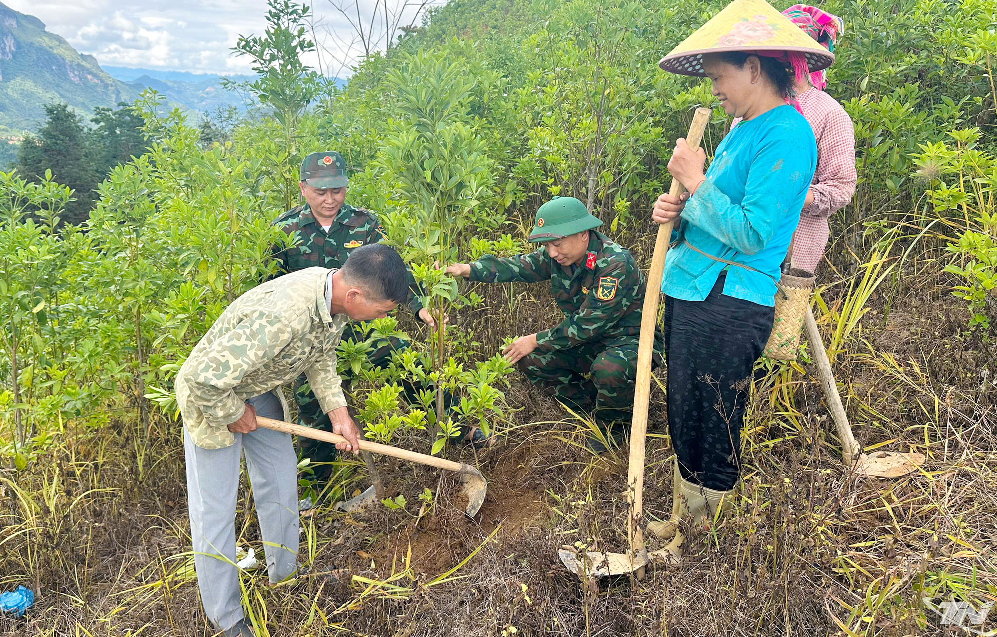 ทีมผลิตที่ 4 กองพลป้องกันเศรษฐกิจที่ 799 ให้คำแนะนำแก่ประชาชนในพื้นที่เกี่ยวกับการดูแลรักษาป่าชายแดน