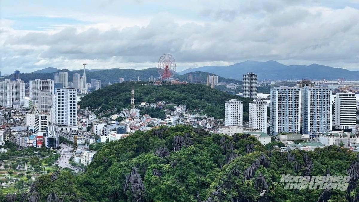 Quảng Ninh nằm trong tốp 7 địa phương có tỷ lệ làm sạch dữ liệu đất đai cao nhất cả nước. Ảnh: Cường Vũ.&nbsp;