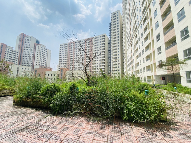 Minimizar o número de casas e terrenos desocupados para reassentamento - Foto 1. Hạn chế tối đa tình trạng nhà, đất tái định cư bỏ trống- Ảnh 1.