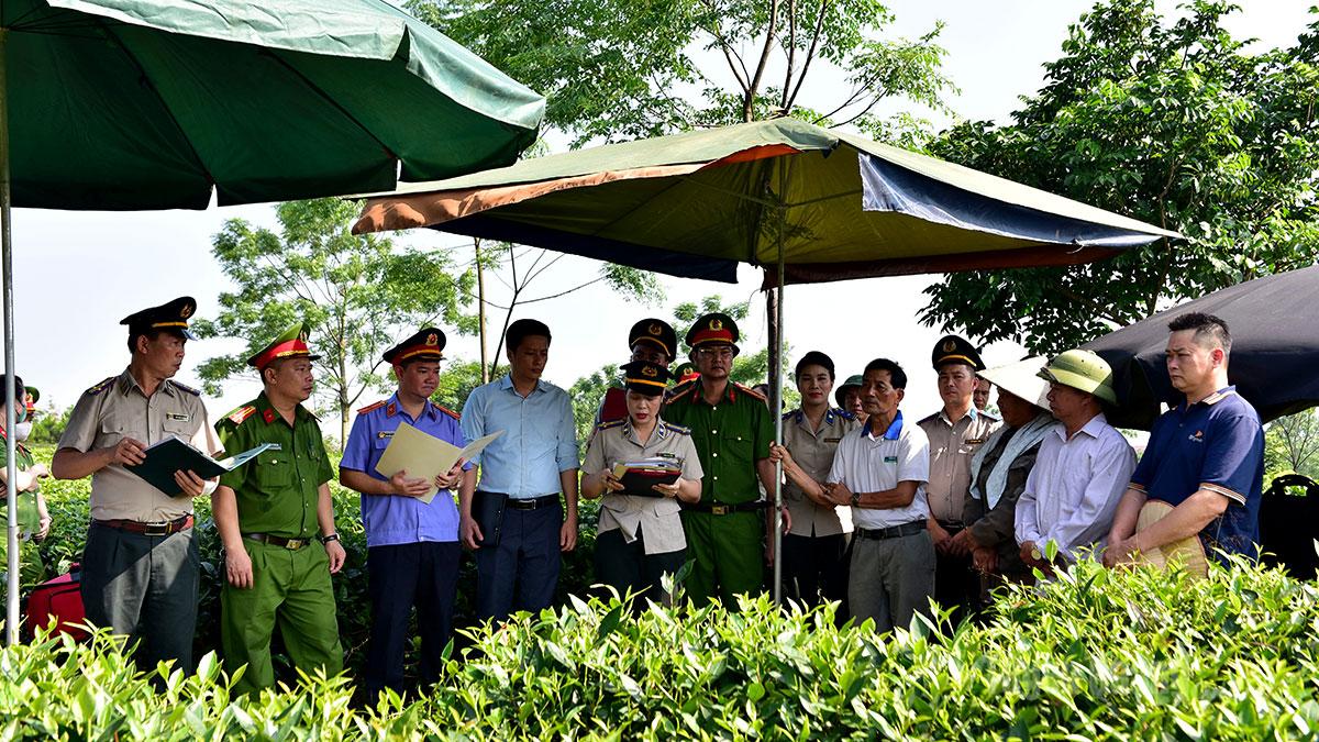 Chấp hành viên Phòng Thi hành án dân sự Khu vực 1 đọc quyết định cưỡng chế chuyển giao quyền sử dụng đất cho Công ty cổ phần Chè Mỹ Lâm.