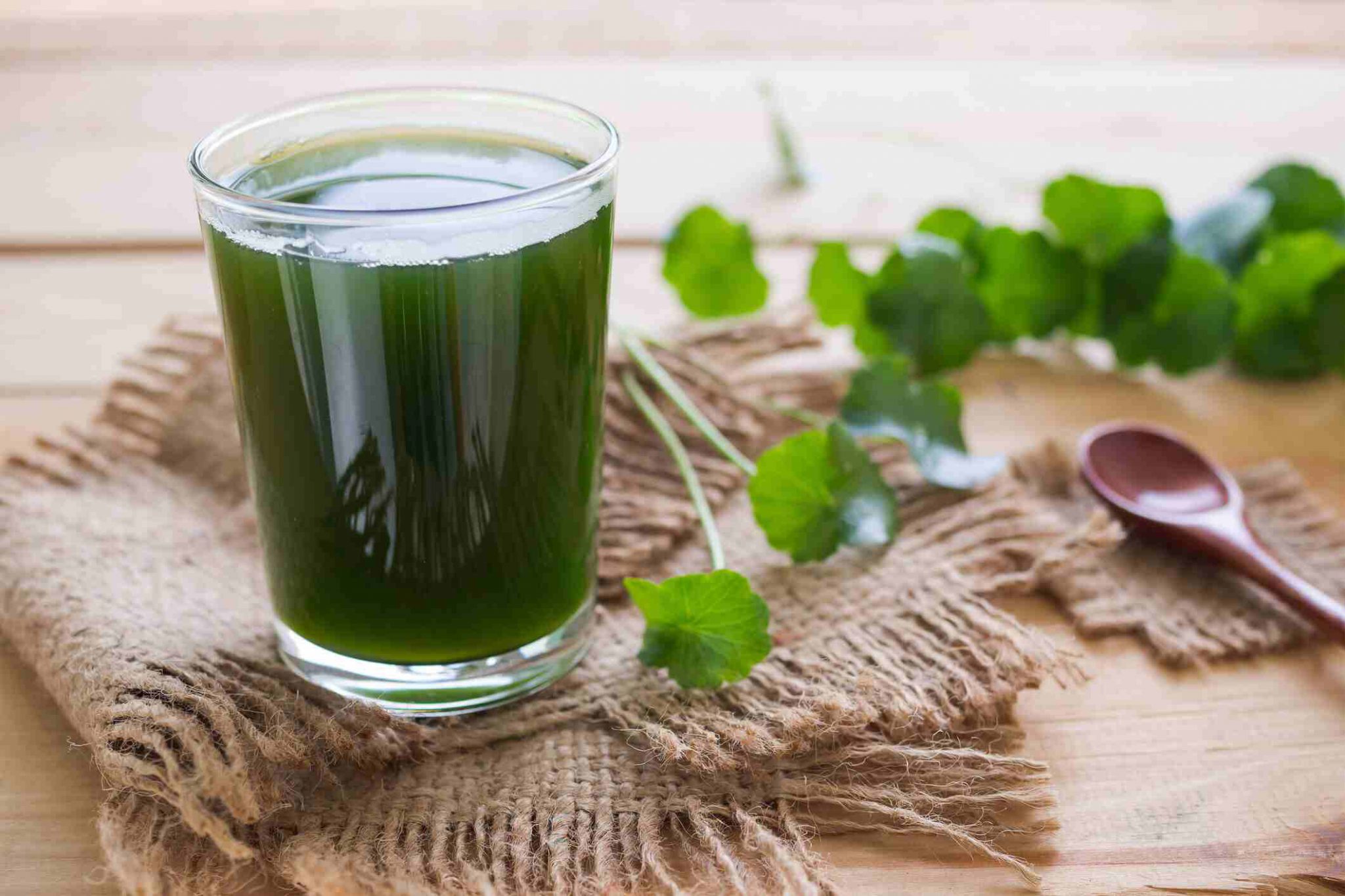 10 thức uống giúp thanh nhiệt, bù dịch ngày nắng gắt- Ảnh 4.