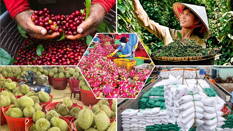 Tiêu chí đánh giá, phân hạng sản phẩm OCOP- Ảnh 1.