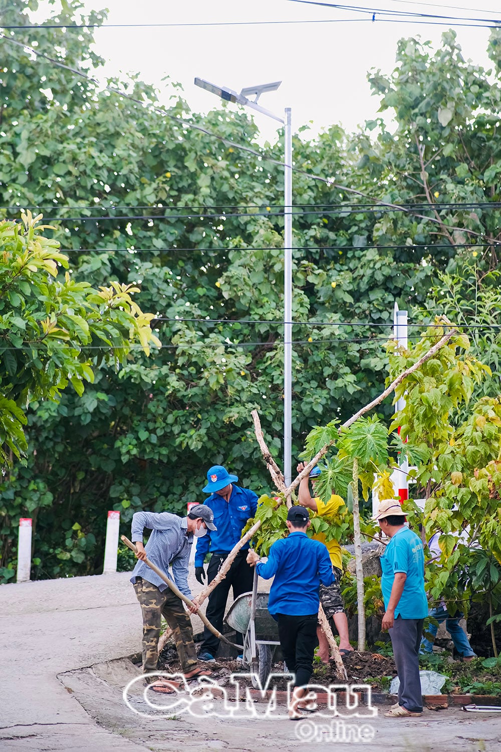 Nel quartiere 10 del comune di Thoi Binh, verrà installato un lampione ogni poche decine di metri per garantire un'illuminazione adeguata e consentire alle persone di spostarsi in sicurezza.