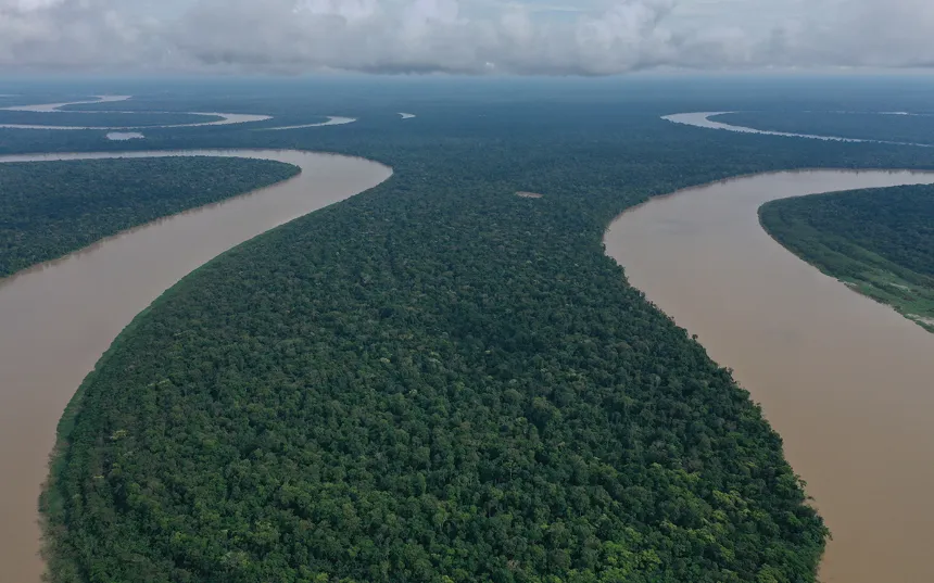 (Ảnh: Mongabay)