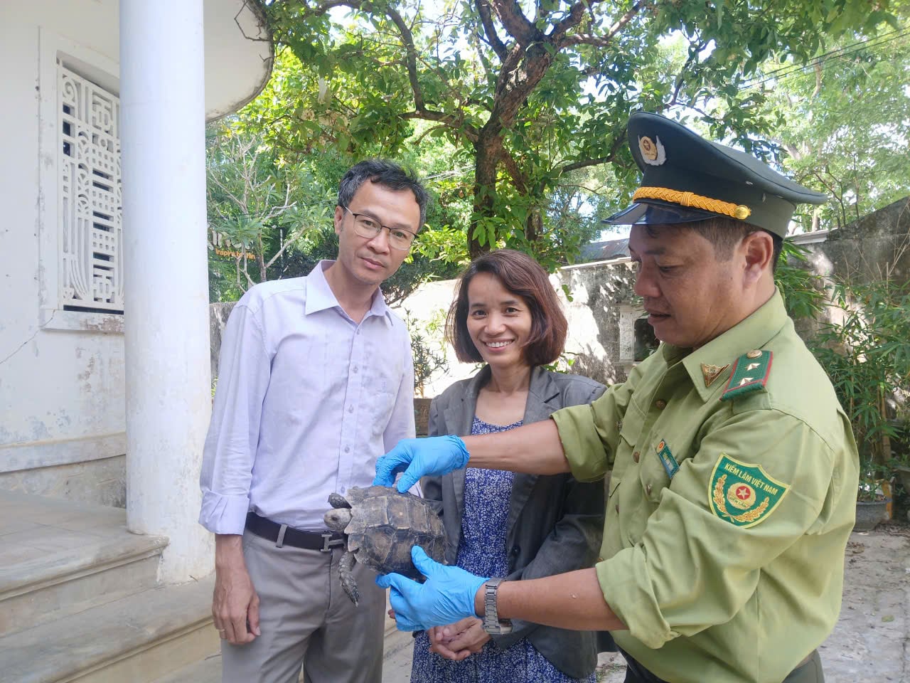 สัตว์หายากยังคงหลงทางในเมืองเว้ - ภาพที่ 2 Động vật quý hiếm liên tục đi lạc ở Huế- Ảnh 2.