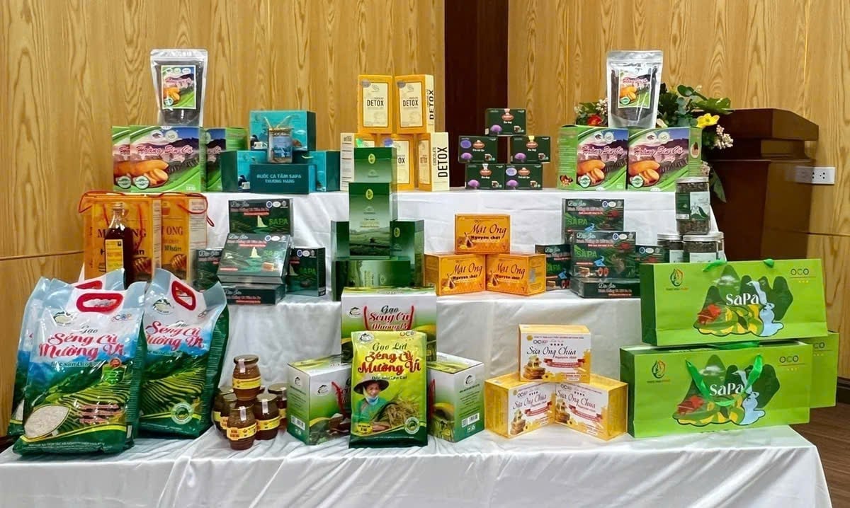 UBND cấp tỉnh tổ chức đánh giá sản phẩm OCOP cấp tỉnh ít nhất 2 đợt mỗi năm; Bộ Nông nghiệp và Môi trường tổ chức đánh giá sản phẩm OCOP 5 sao cấp quốc gia tối thiểu 2 đợt mỗi năm. Ảnh: Kim Thoa.