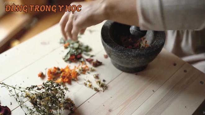 Góc nhỏ kỳ diệu - Sáng tạo với cánh hoa - Ảnh 4.