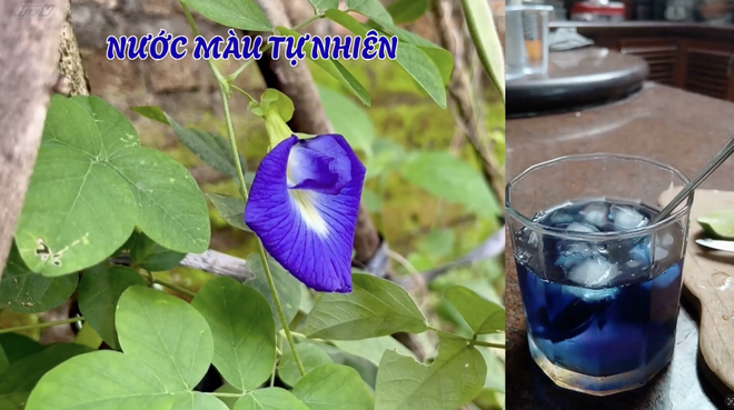 Góc nhỏ kỳ diệu - Sáng tạo với cánh hoa - Ảnh 7.