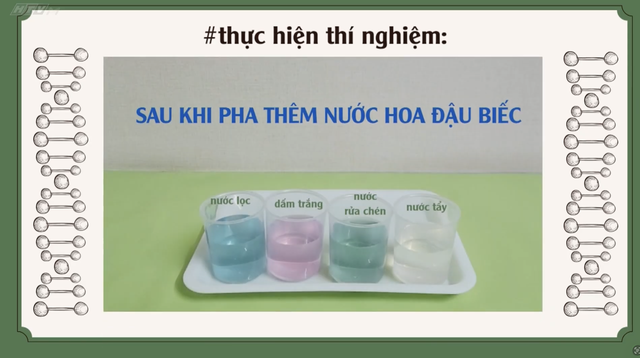 Góc nhỏ kỳ diệu - Sáng tạo với cánh hoa - Ảnh 9.
