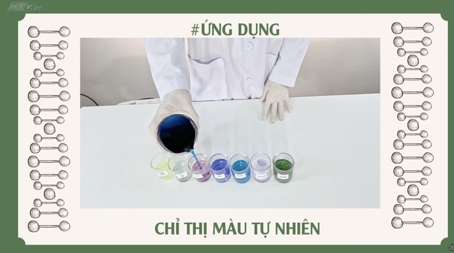Góc nhỏ kỳ diệu - Sáng tạo với cánh hoa - Ảnh 10.