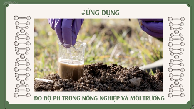 Góc nhỏ kỳ diệu - Sáng tạo với cánh hoa - Ảnh 11.