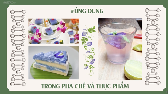 Góc nhỏ kỳ diệu - Sáng tạo với cánh hoa - Ảnh 12.