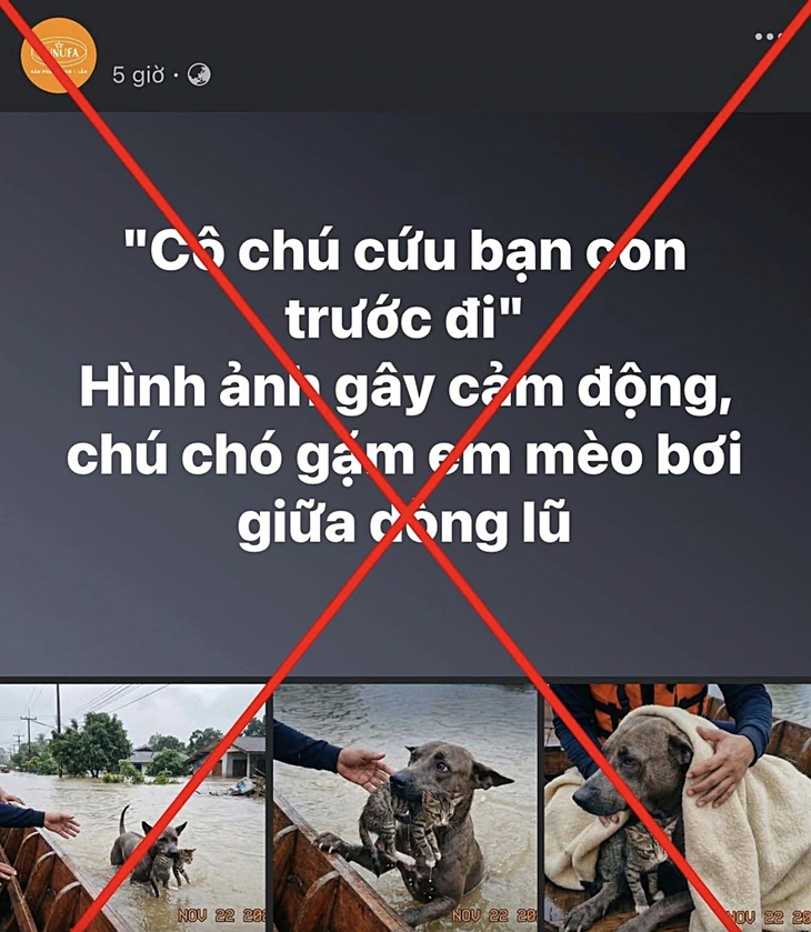 báo chí - Ảnh 2.