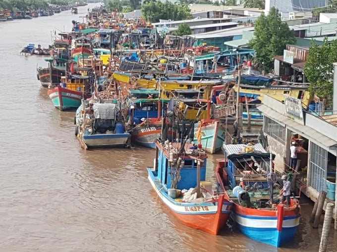 Cà Mau thành lập Tổ công tác liên ngành siết chặt kiểm tra chống khai thác IUU. Ảnh: Trọng Linh.