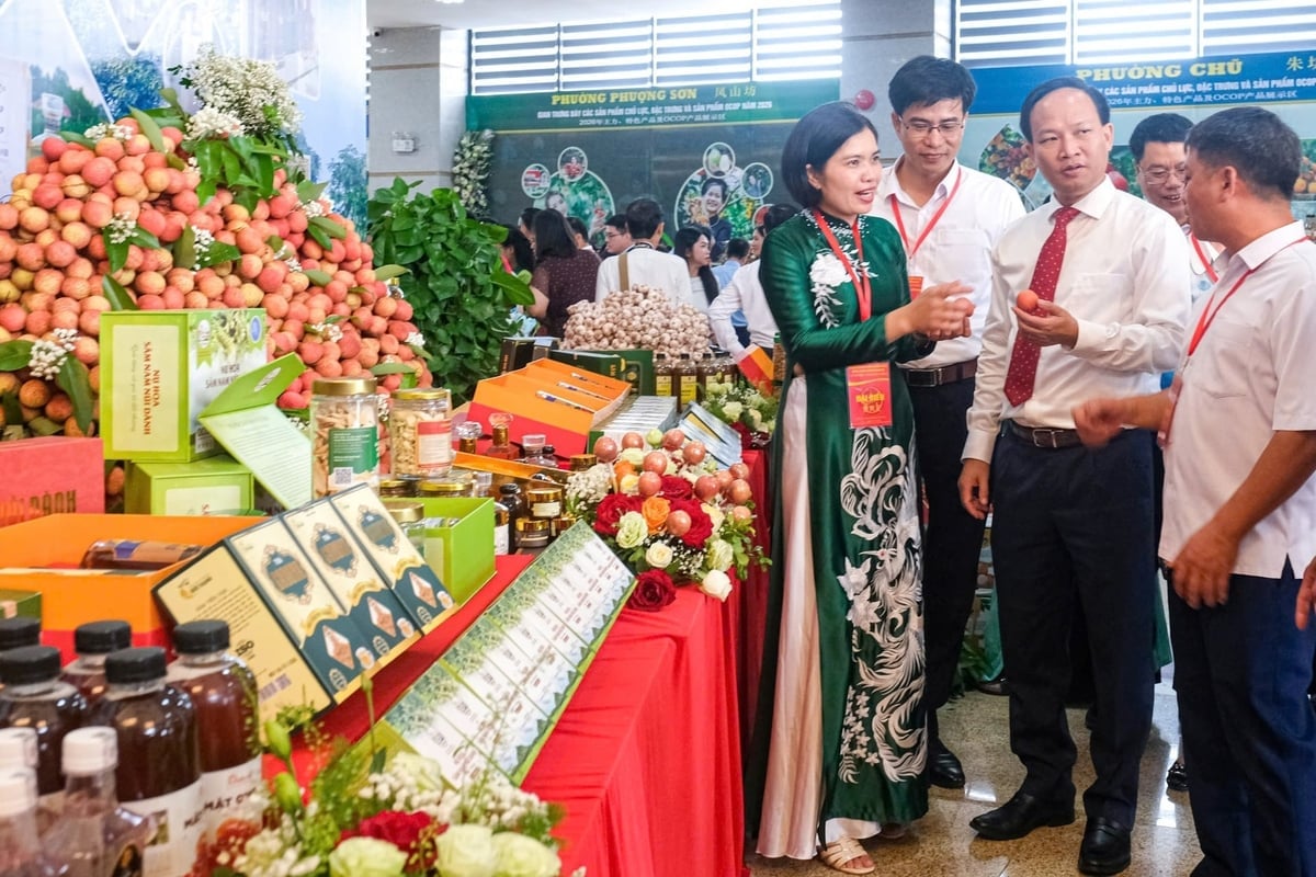 Các doanh nghiệp nhập khẩu, chế biến vải thiều của Trung Quốc bày tỏ mong muốn thu mua nhiều hơn nữa vải thiều Việt Nam. Ảnh: Bảo Hà.
