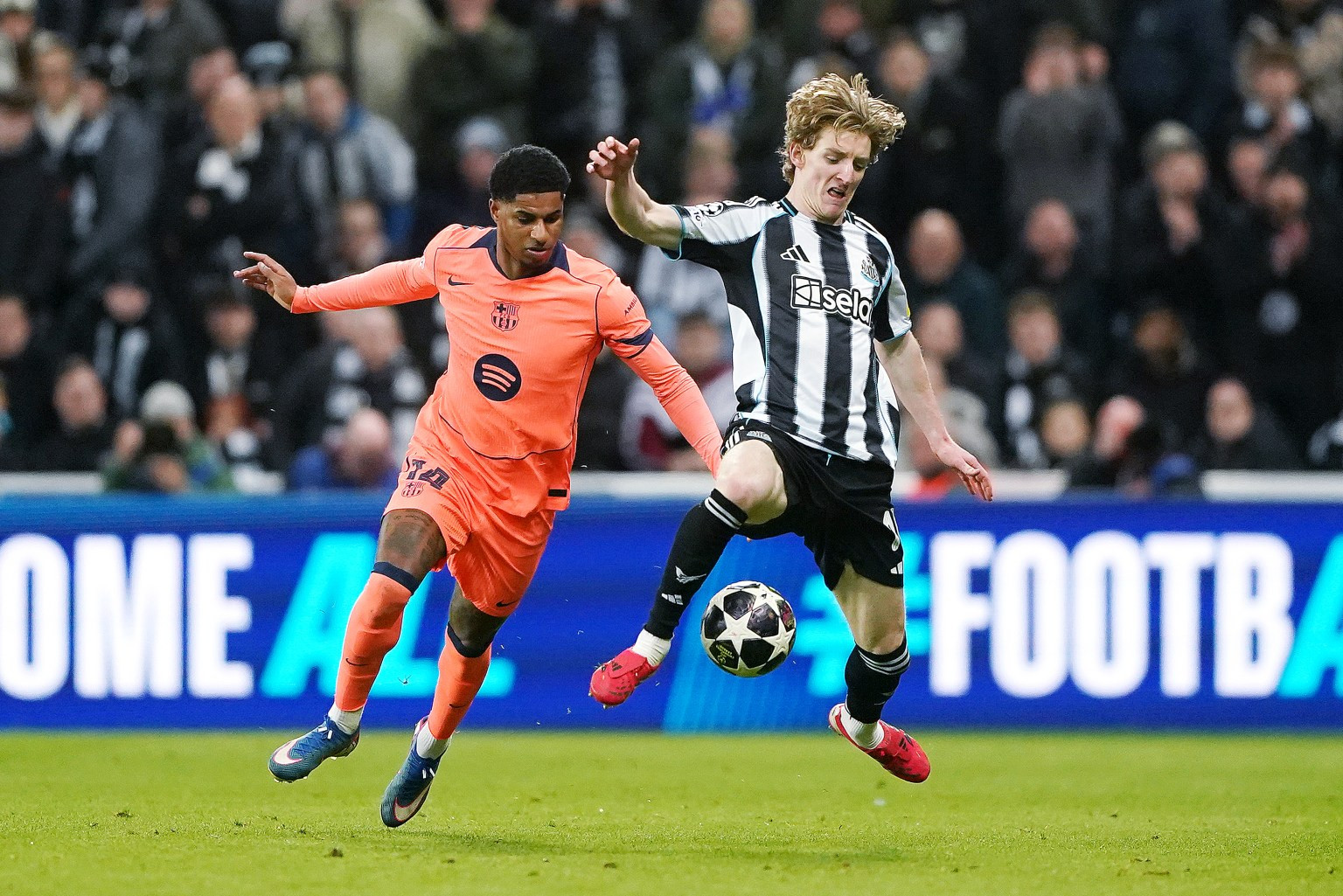 www_thesun_co_uk Newcastle United Anthony Gordon Battle 1065623060 (1).jpg
