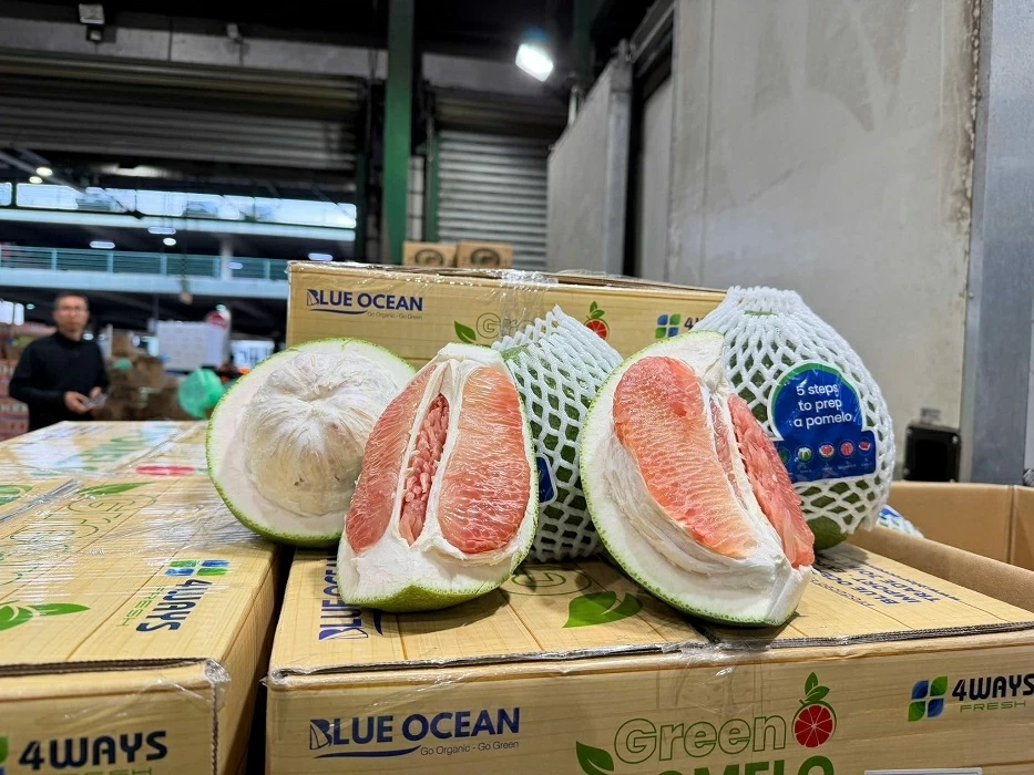Xuất khẩu bưởi da xanh của Việt Nam sang Australia