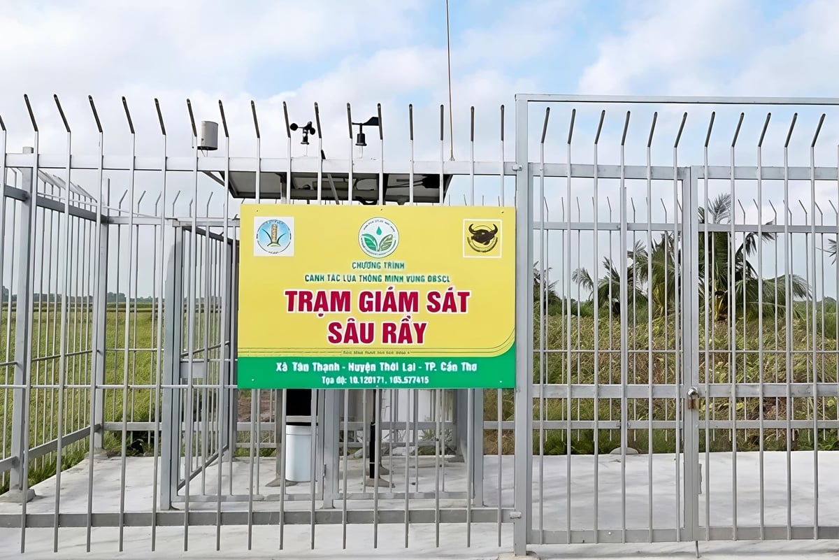 Công nghệ số cần gắn liền với chương trình phát triển nông thôn, xây dựng nông thôn mới để thu hút sự tham gia của cộng đồng. Ảnh: Kim Anh.