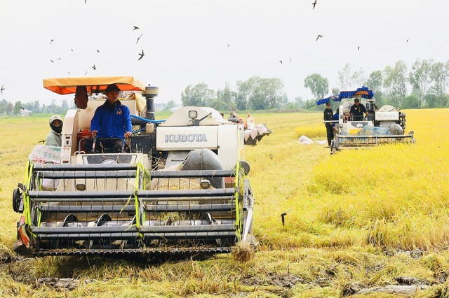 ĐBSCL đang đối diện với nhiều nghịch lý phát triển- Ảnh 2.