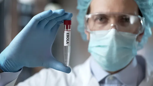 Nhiều nước tham gia đường đua nghiên cứu vaccine Ebola - Ảnh 1.