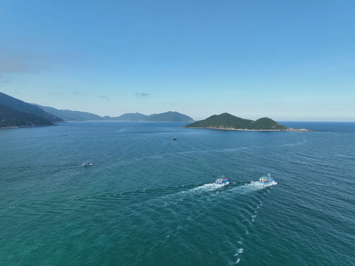 Temporada de caza de erizos de mar en el mar azul de Khanh Hoa - Foto 1. Mùa săn nhum giữa biển xanh Khánh Hòa- Ảnh 1.