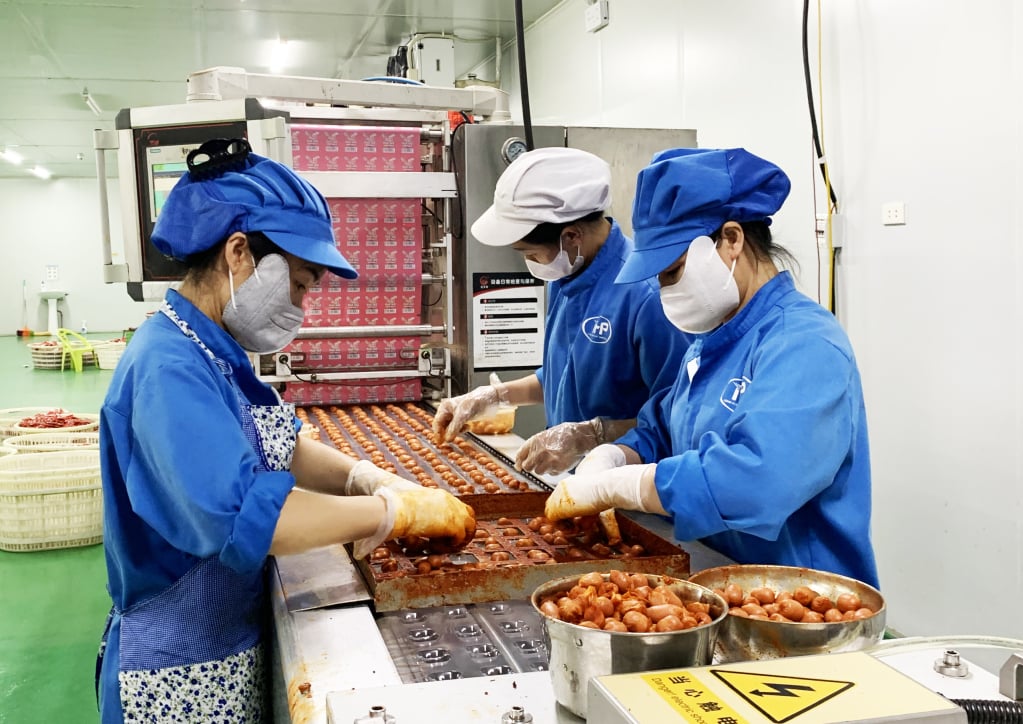 가공식품은 원재료 선정부터 가공, 포장, 보관에 이르기까지 모든 단계에서 품질을 보장해야 합니다.