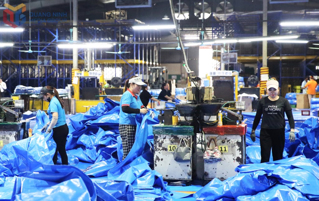 A Vina New Tarps Co., Ltd.-nél készült, a Cai Lan Ipari Parkban. Fotó: Minh Duc