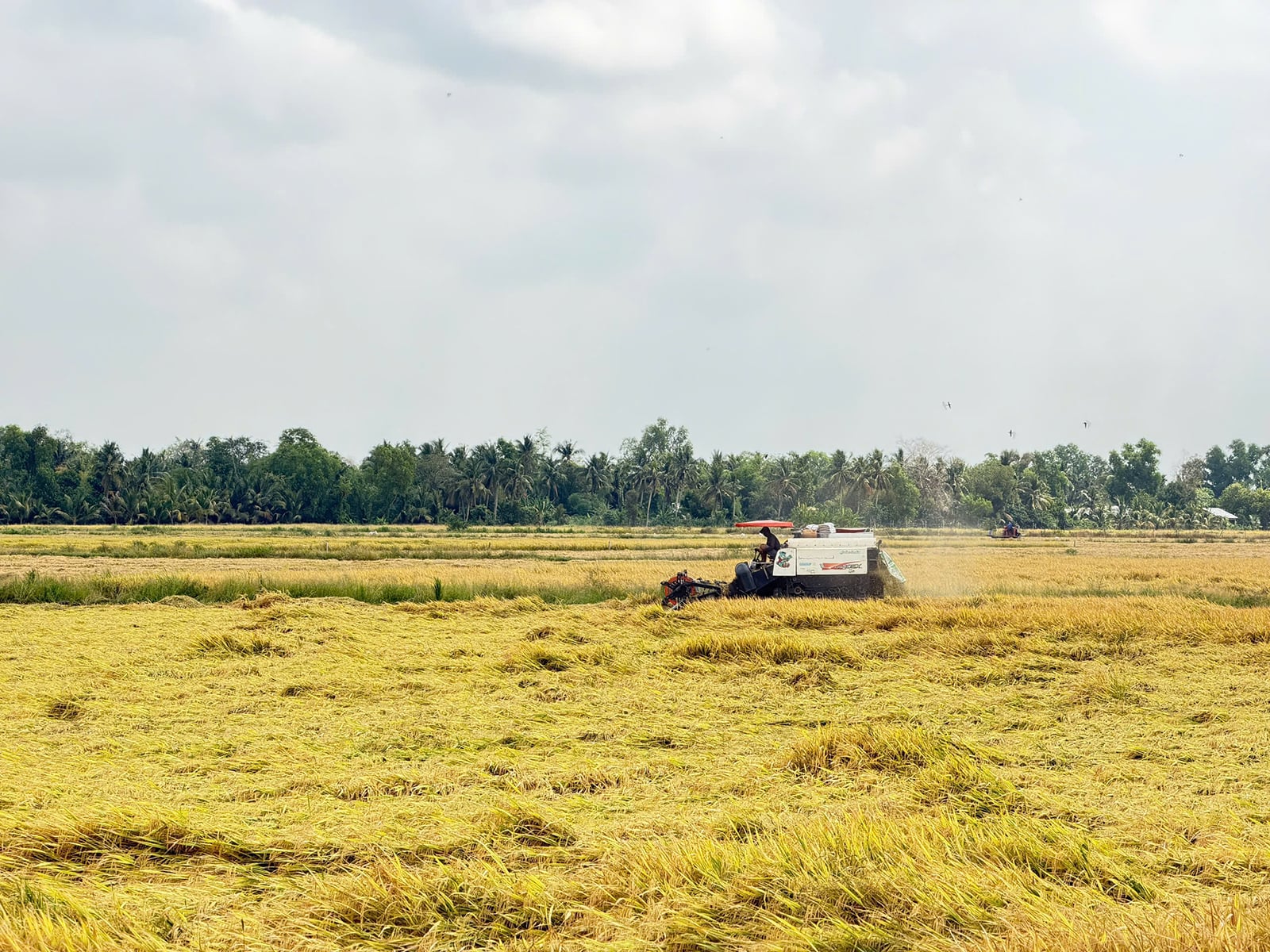 វិទ្យាសាស្ត្រ និងបច្ចេកវិទ្យាដើរទន្ទឹមគ្នាជាមួយកសិករ។
