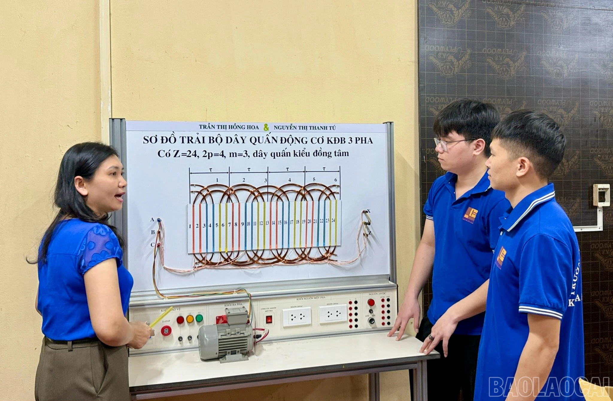 baolaocai-br_1779637569194-1990624821983247676-4362648308235759895-14bfdeed55e681eacf151ab1d52624e5.jpg