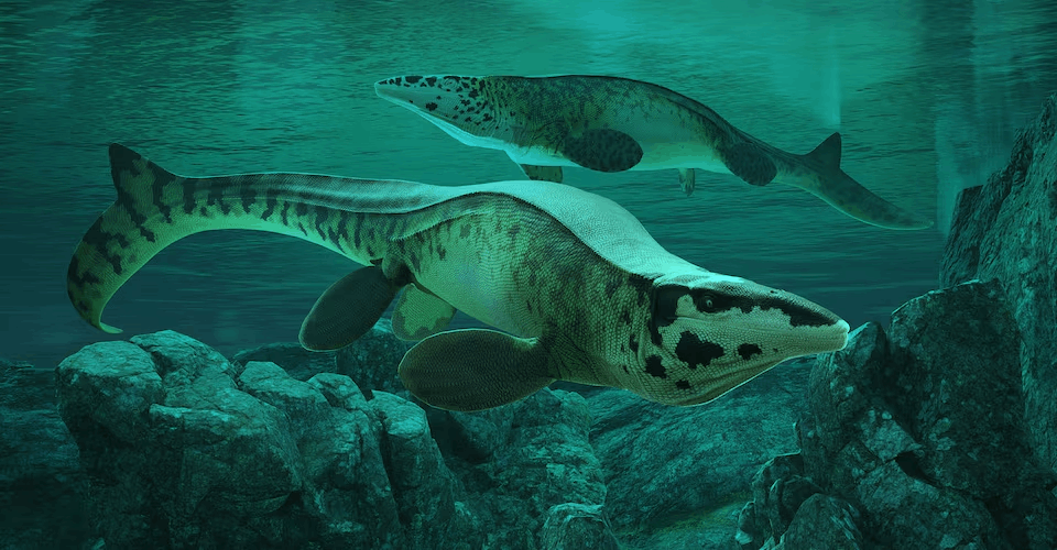 8000万年の時を経て、「海のティラノサウルス」が姿を現した。