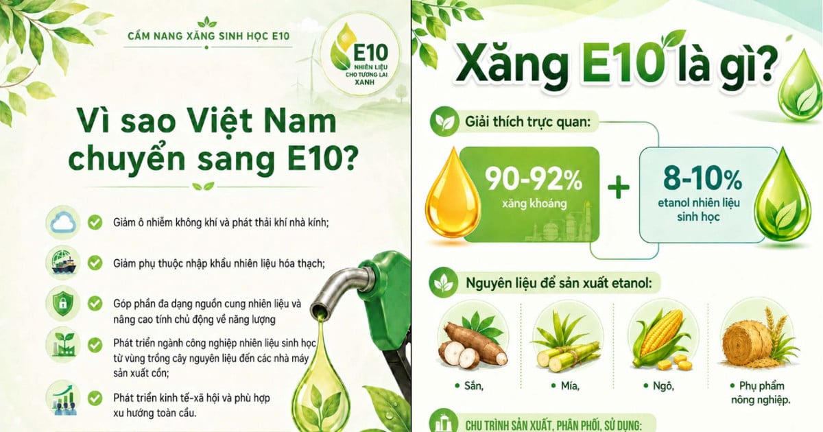 Het Ministerie van Industrie en Handel heeft een handleiding uitgebracht over het gebruik van E10 bi