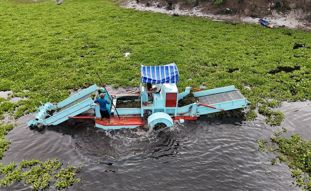 Máy gom cắt bèo góp phần giảm ô nhiễm, khơi thông dòng chảy, góp phần xây dựng đô thị Huế xanh, sạch. Ảnh: V.D.