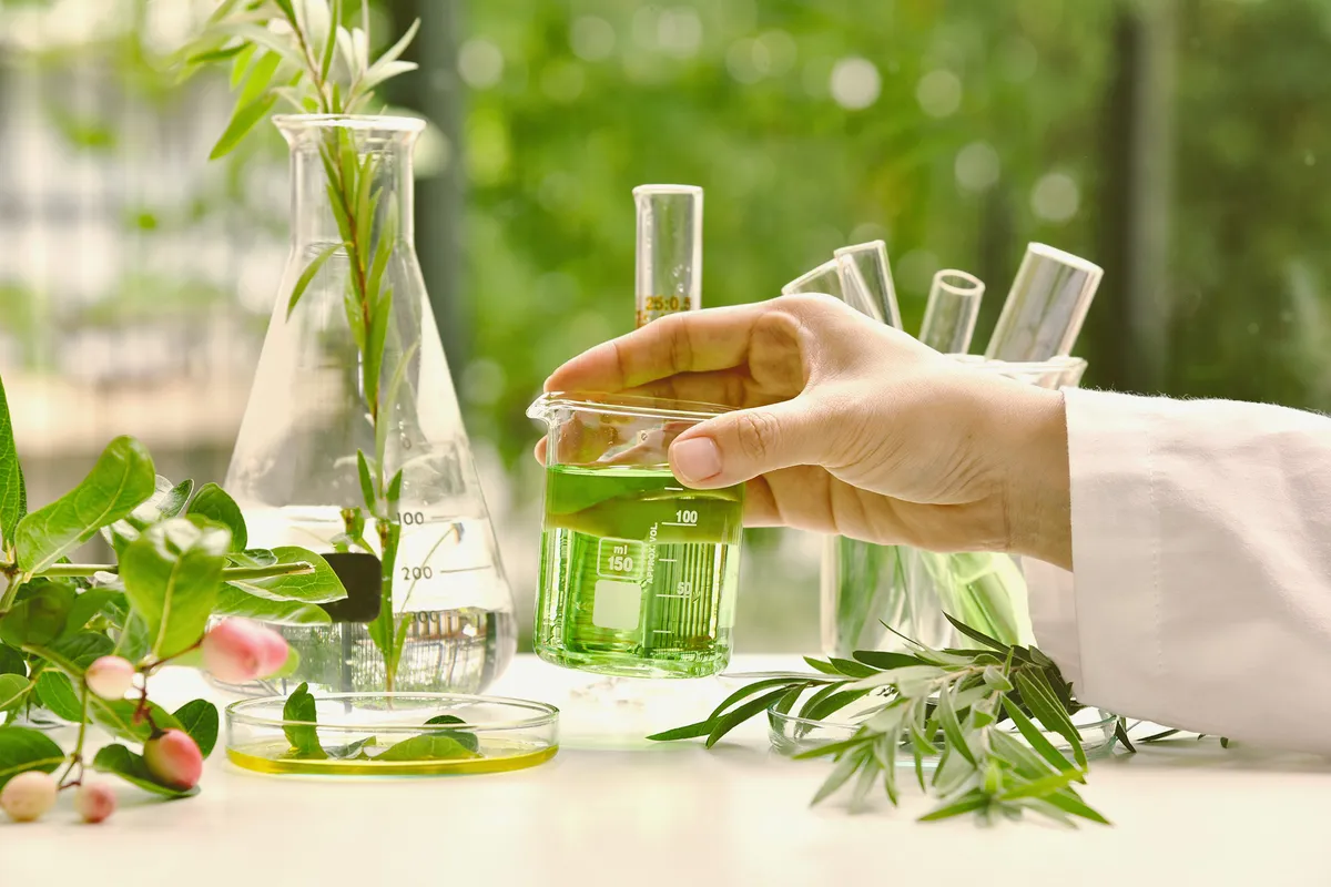 Die Revolution der grünen Materialien ersetzt Petrochemikalien - Bild 1. Cuộc cách mạng vật liệu xanh thay thế hóa dầu- Ảnh 1.