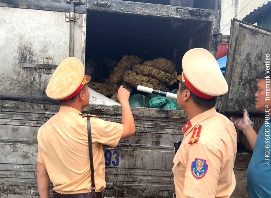 Tài xế ô tô mua hơn 2 tấn tóp mỡ bốc mùi mang đi tiêu thụ- Ảnh 1.